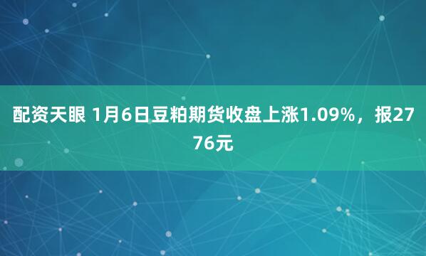 配资天眼 1月6日豆粕期货收盘上涨1.09%，报2776元